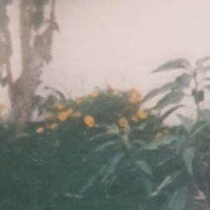 Meet your Posher, Kareena